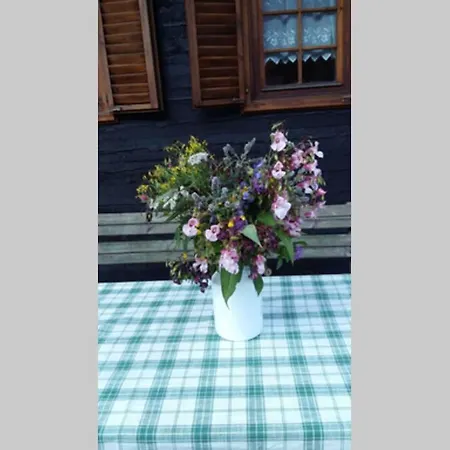 Gemütliches Ferienhaus Im Ennstal Сasa de vacaciones *