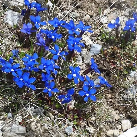 Сasa de vacaciones Gemütliches Ferienhaus Im Ennstal *