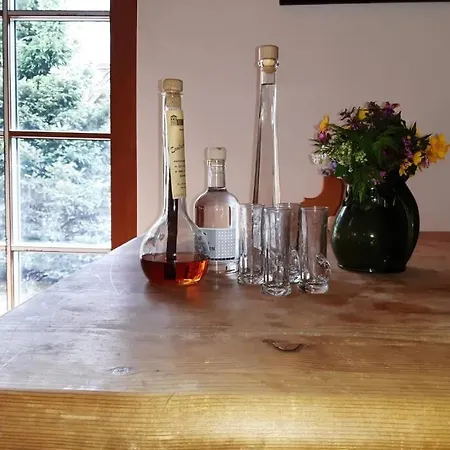 Haus Susi Im Ennstal Vakantiehuis *