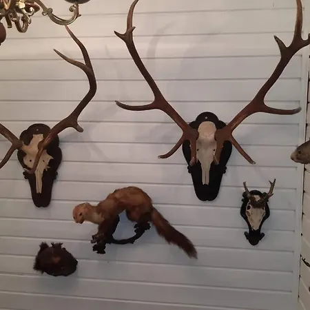 Haus Susi Im Ennstal リーツェン