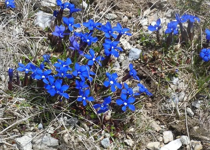 Semesterbostad Haus Susi Im Ennstal *