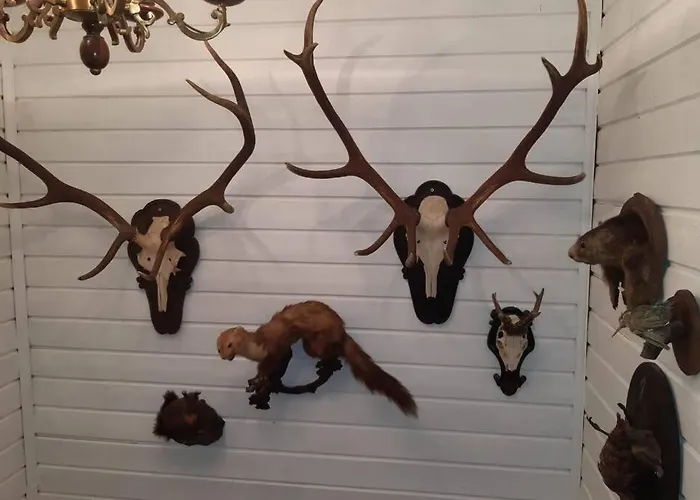 Haus Susi Im Ennstal Liezen